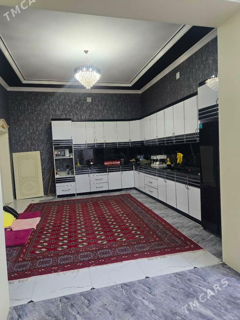 котеж мик химик у дороги - Туркменабат - img 9