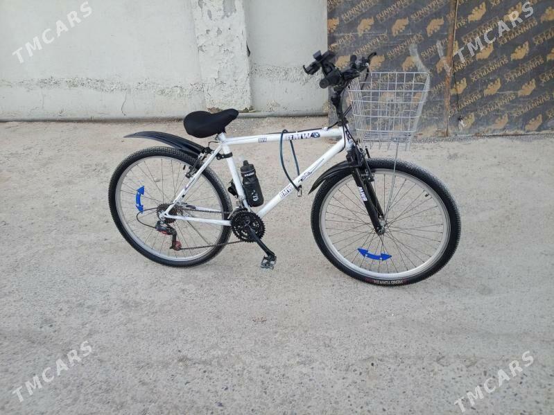 tigir - Garadamak Şor - img 1