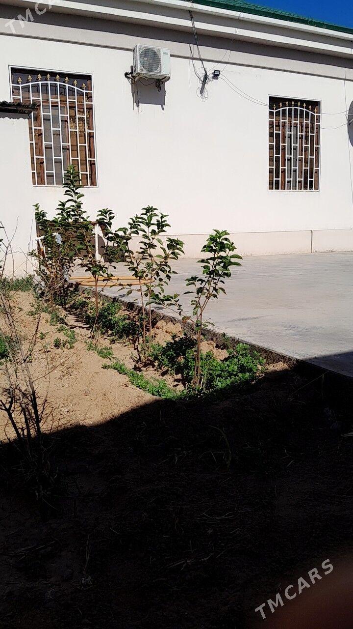 🫵Eyesinden 6 sotok plan - Çoganly - img 2