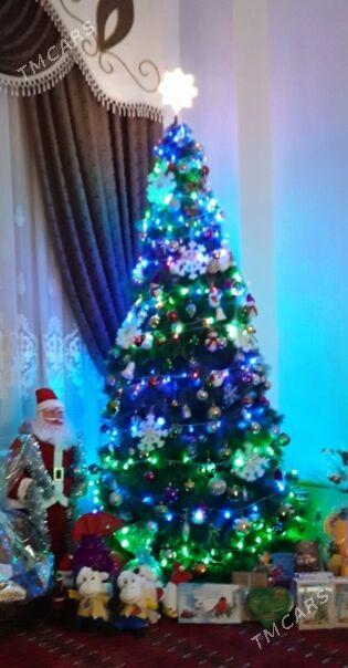 Ýolka  - Ашхабад - img 3