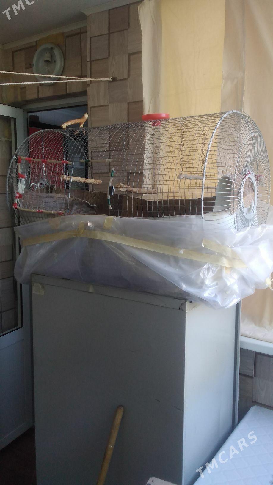 Клетки для  попугаев - Türkmenabat - img 5