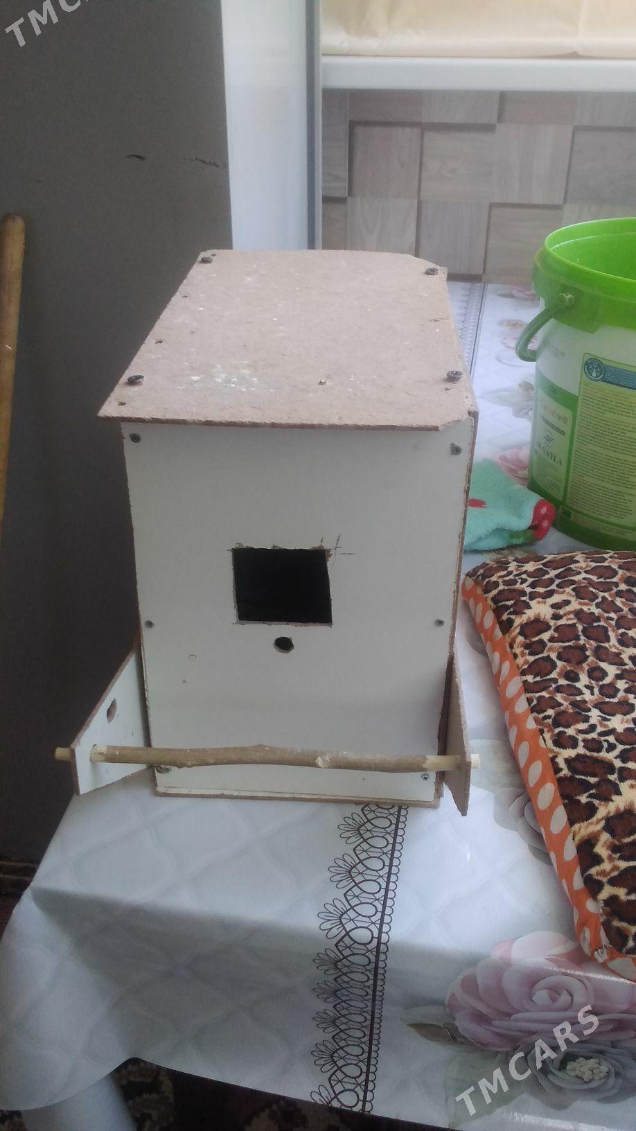 Клетки для  попугаев - Türkmenabat - img 4