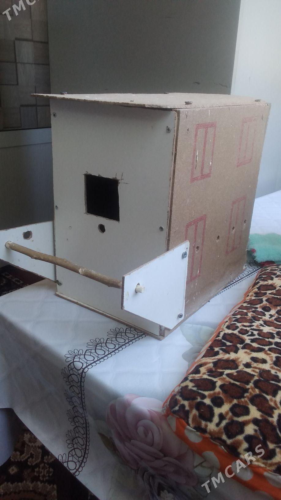 Клетки для  попугаев - Türkmenabat - img 7