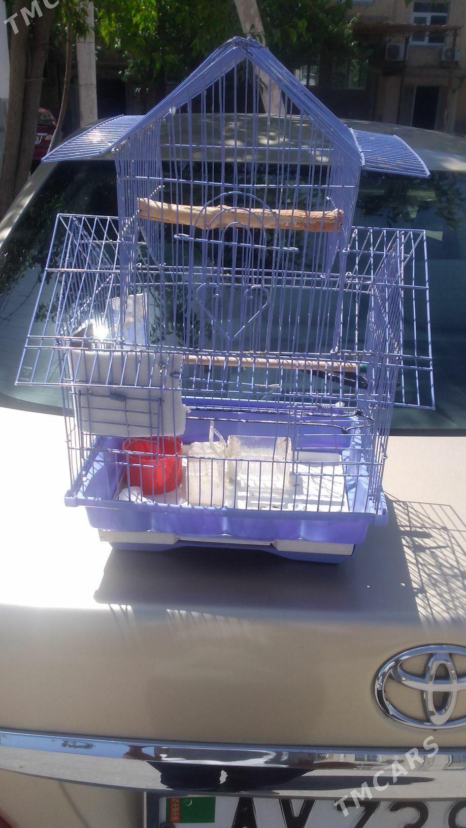 Клетки для  попугаев - Türkmenabat - img 2