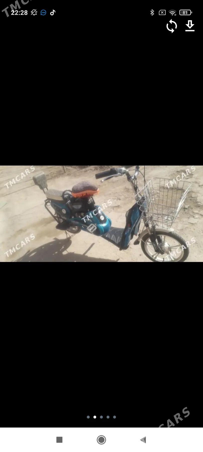 tokly tigir - Çärjew - img 2