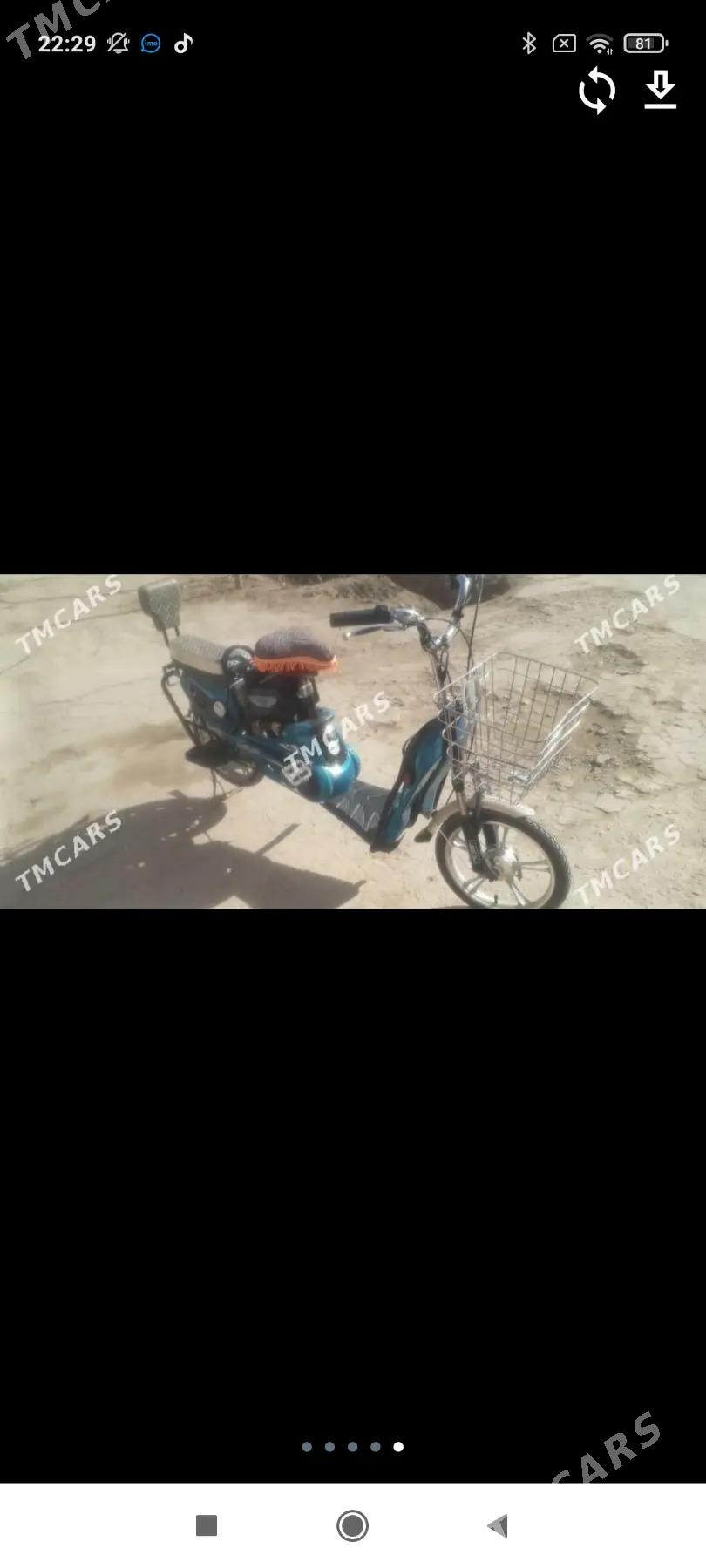 tokly tigir - Çärjew - img 4