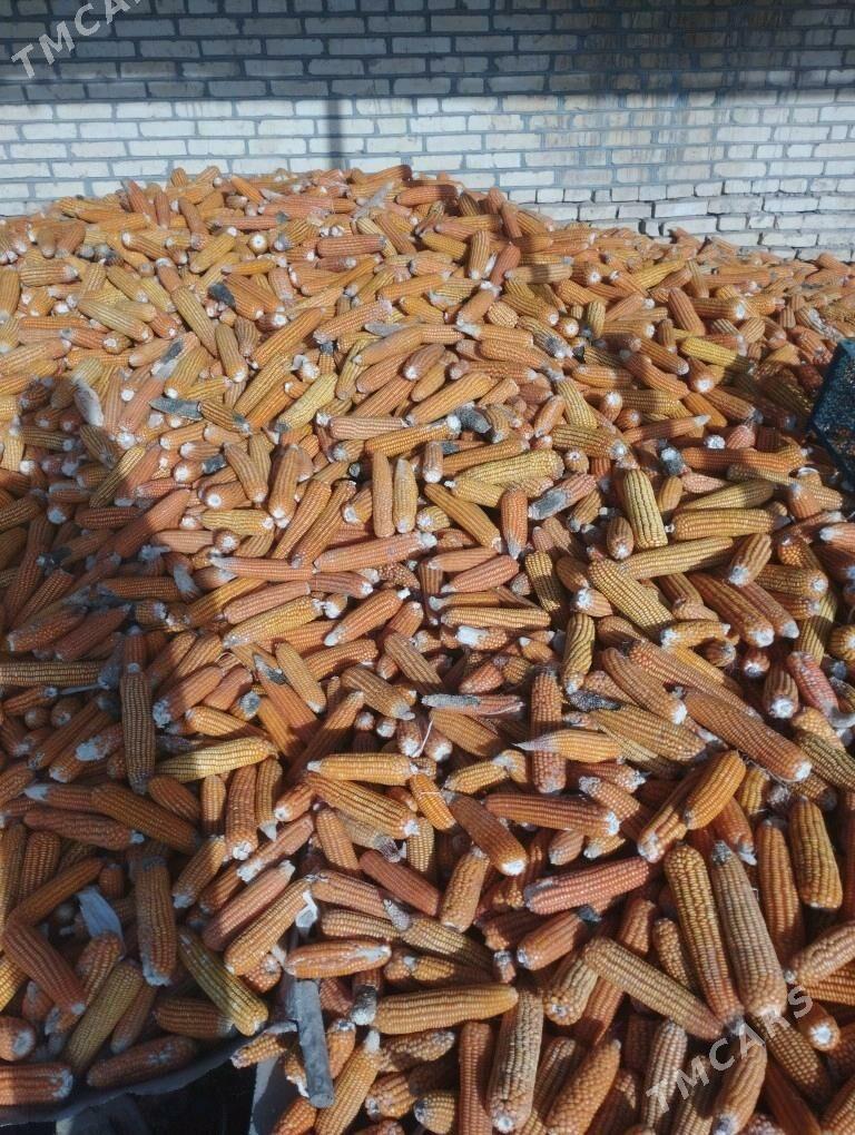 mekge - Байрамали - img 1