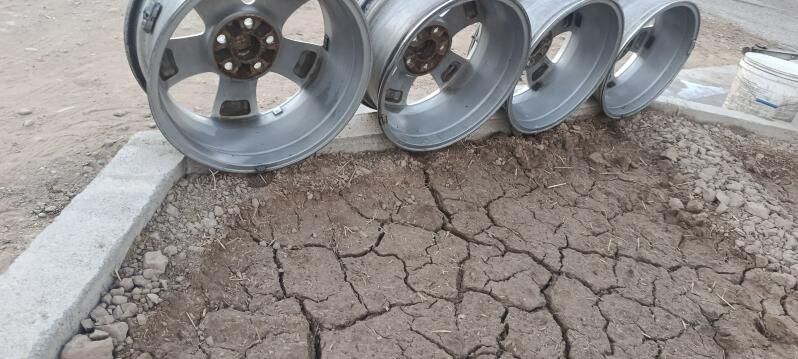 17lik diska 2 900 TMT - Mary - img 2