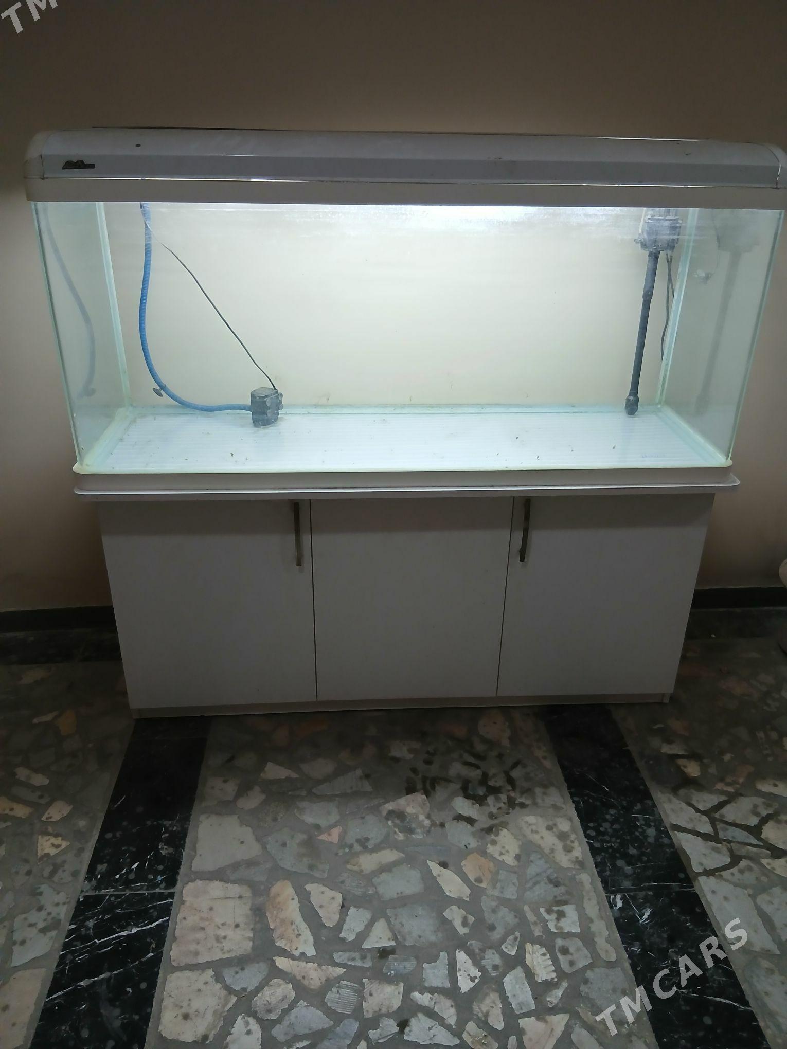 аквариум - Aşgabat - img 2