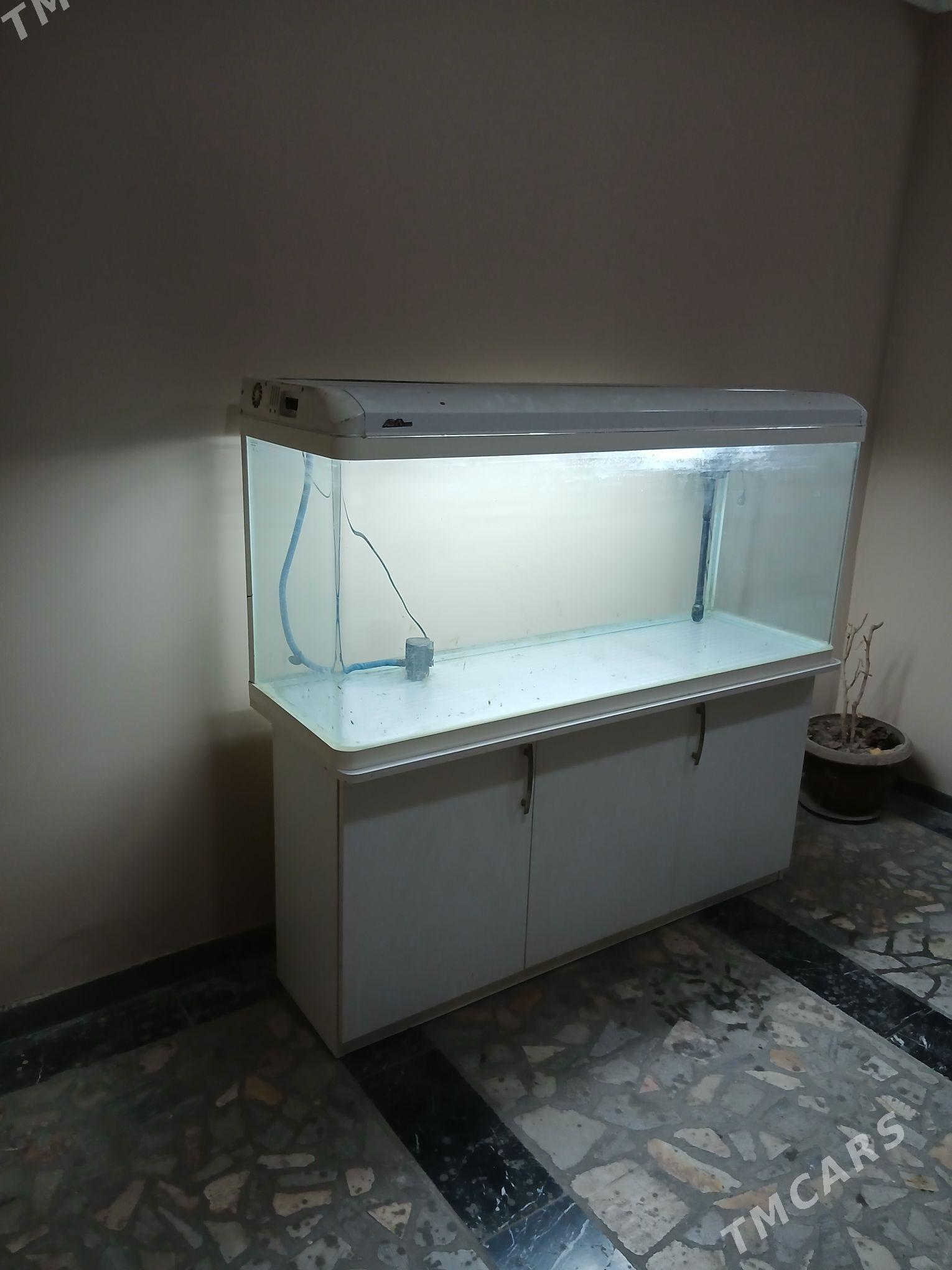 аквариум - Aşgabat - img 1