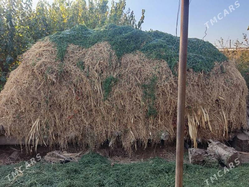 mal ot - Дянев - img 2