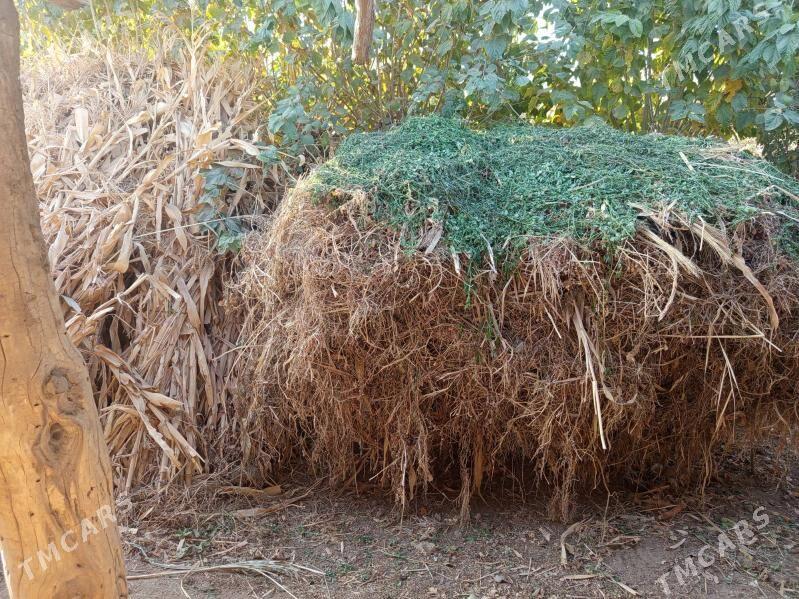 mal ot - Дянев - img 1