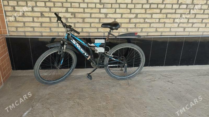 Welsepet - Baýramaly - img 3