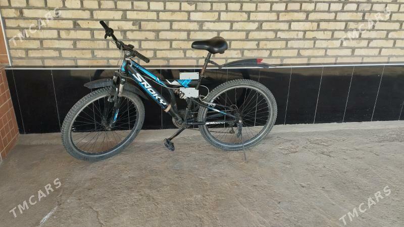 Welsepet - Baýramaly - img 2