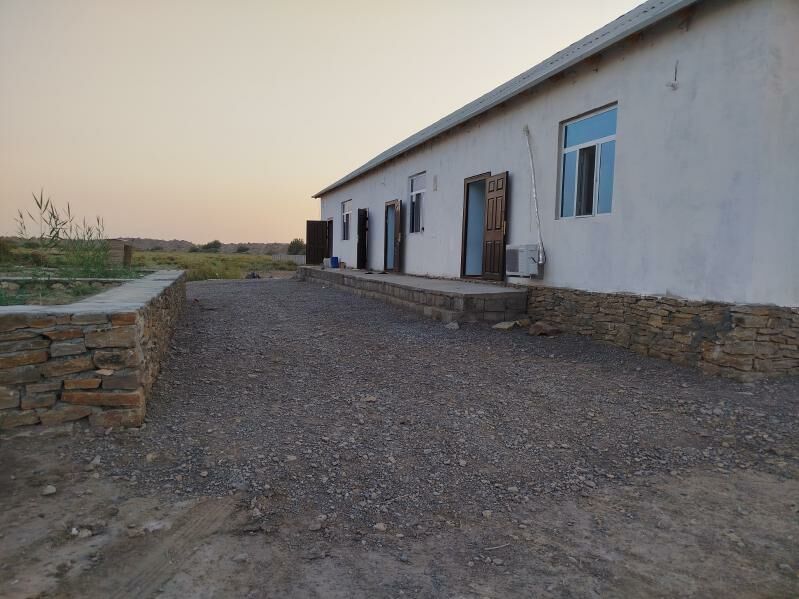 Satlyk Jay koytendag - Койтендаг - img 4