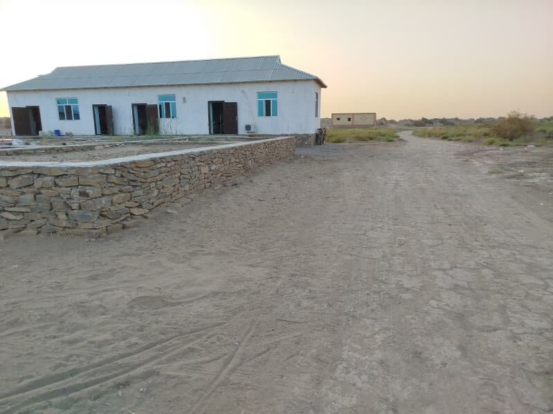 Satlyk Jay koytendag - Койтендаг - img 1