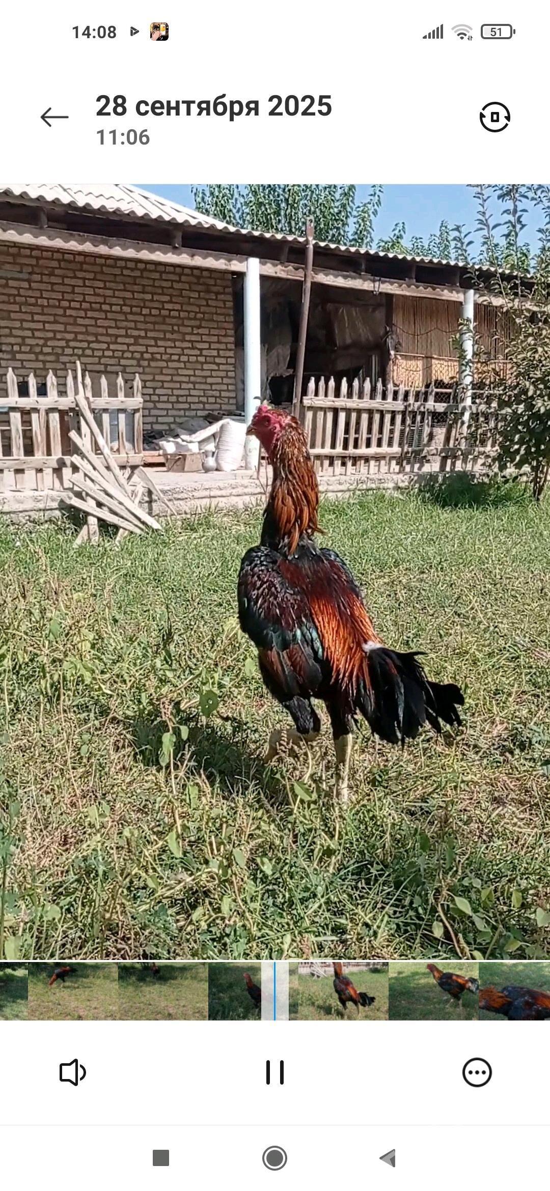 bayes - Wekilbazar - img 2