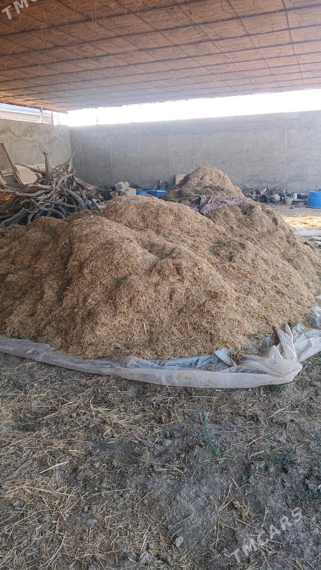 Saman mayda uwelen - Мары - img 1