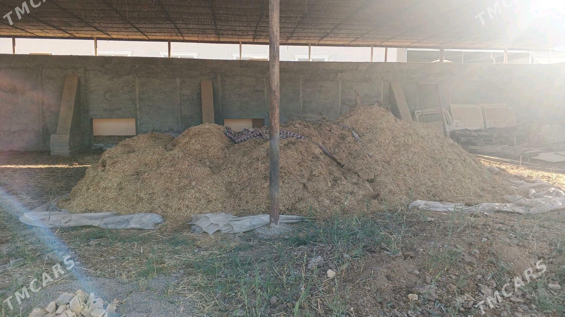 Saman mayda uwelen - Мары - img 2