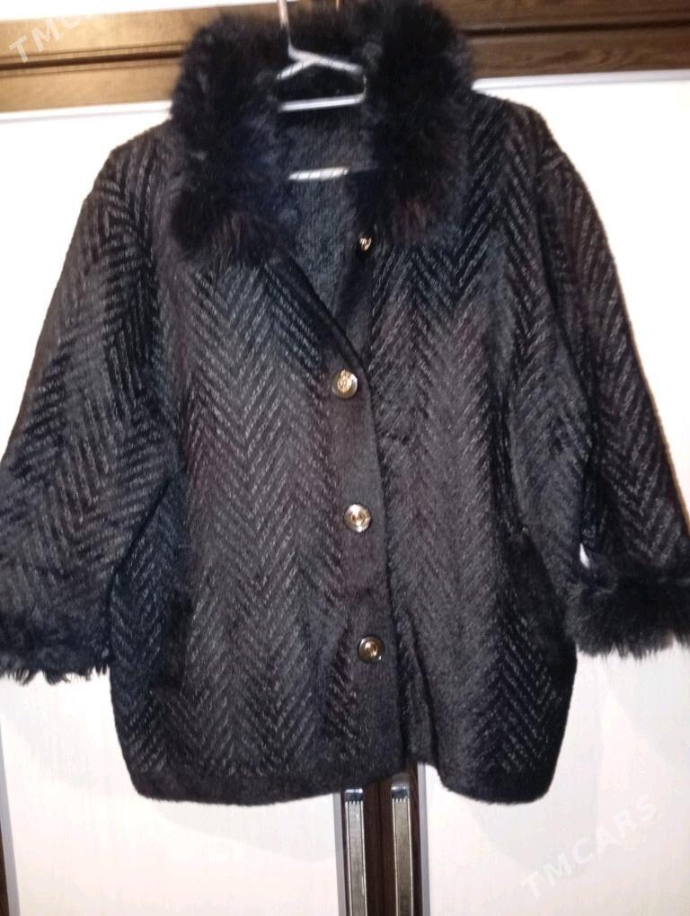 Angorka jempir - Türkmenbaşy - img 1