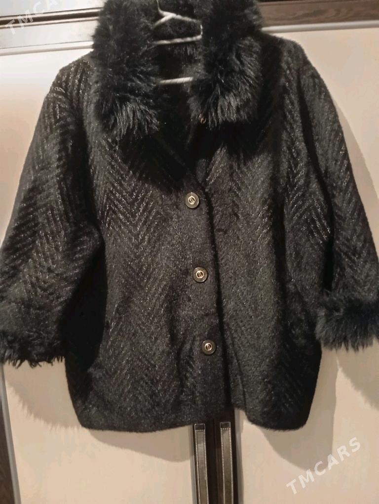 Angorka jempir - Türkmenbaşy - img 3