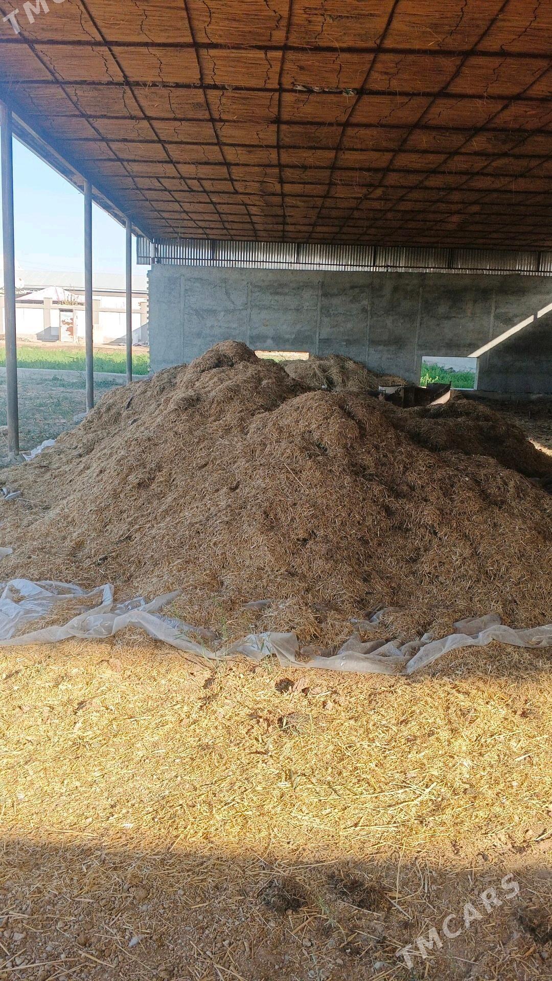 Saman mayda uwelen - Мары - img 3