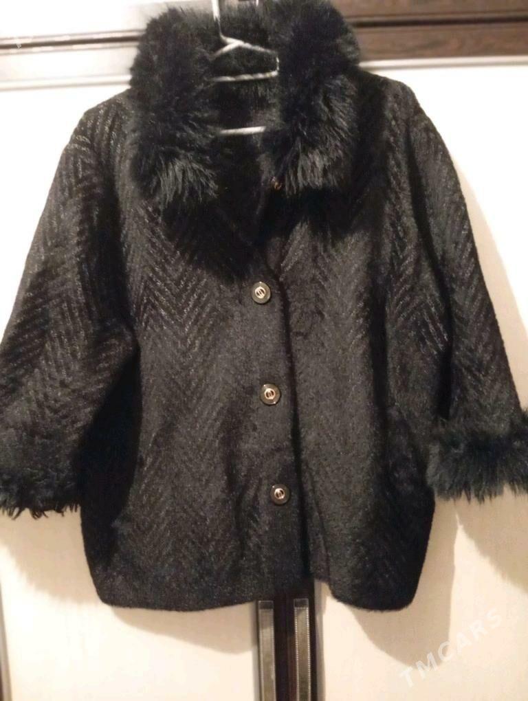 Angorka jempir - Türkmenbaşy - img 2