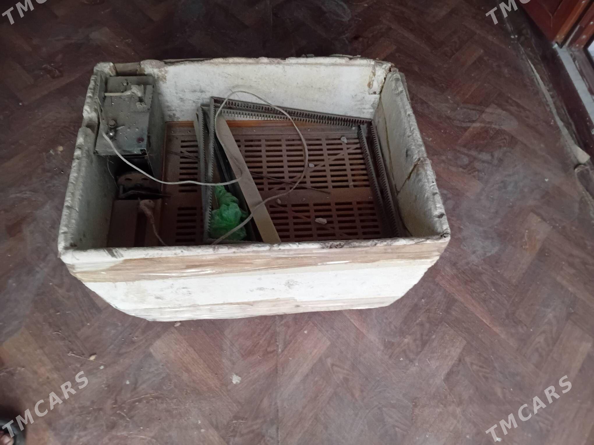 inkibator - Gyzylarbat - img 2