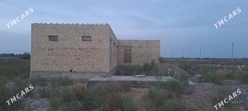 Jay satlyk - Babadaýhan - img 4