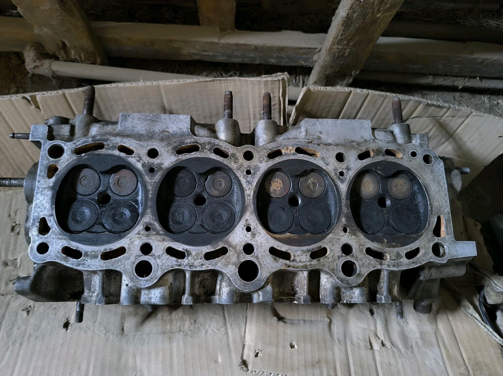 2.2 galofka 300 TMT - Берекет - img 2