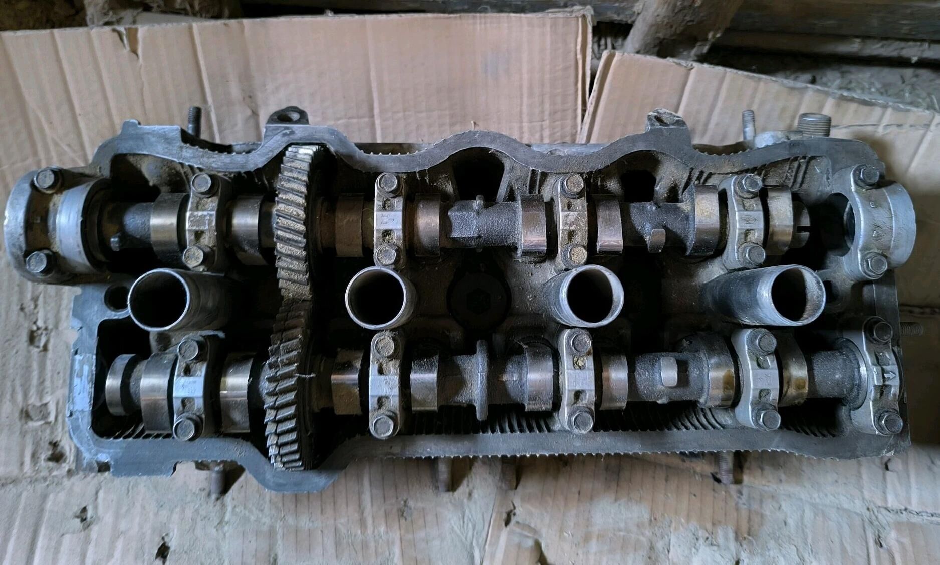 2.2 galofka 300 TMT - Берекет - img 1