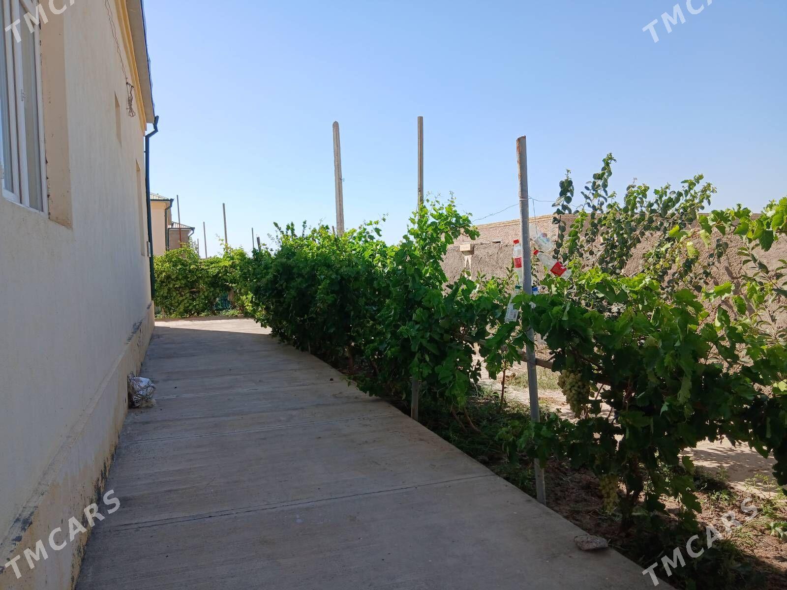 jay, жай - Дашогуз - img 9