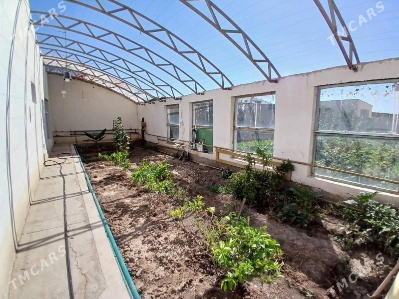 jay, жай - Дашогуз - img 2