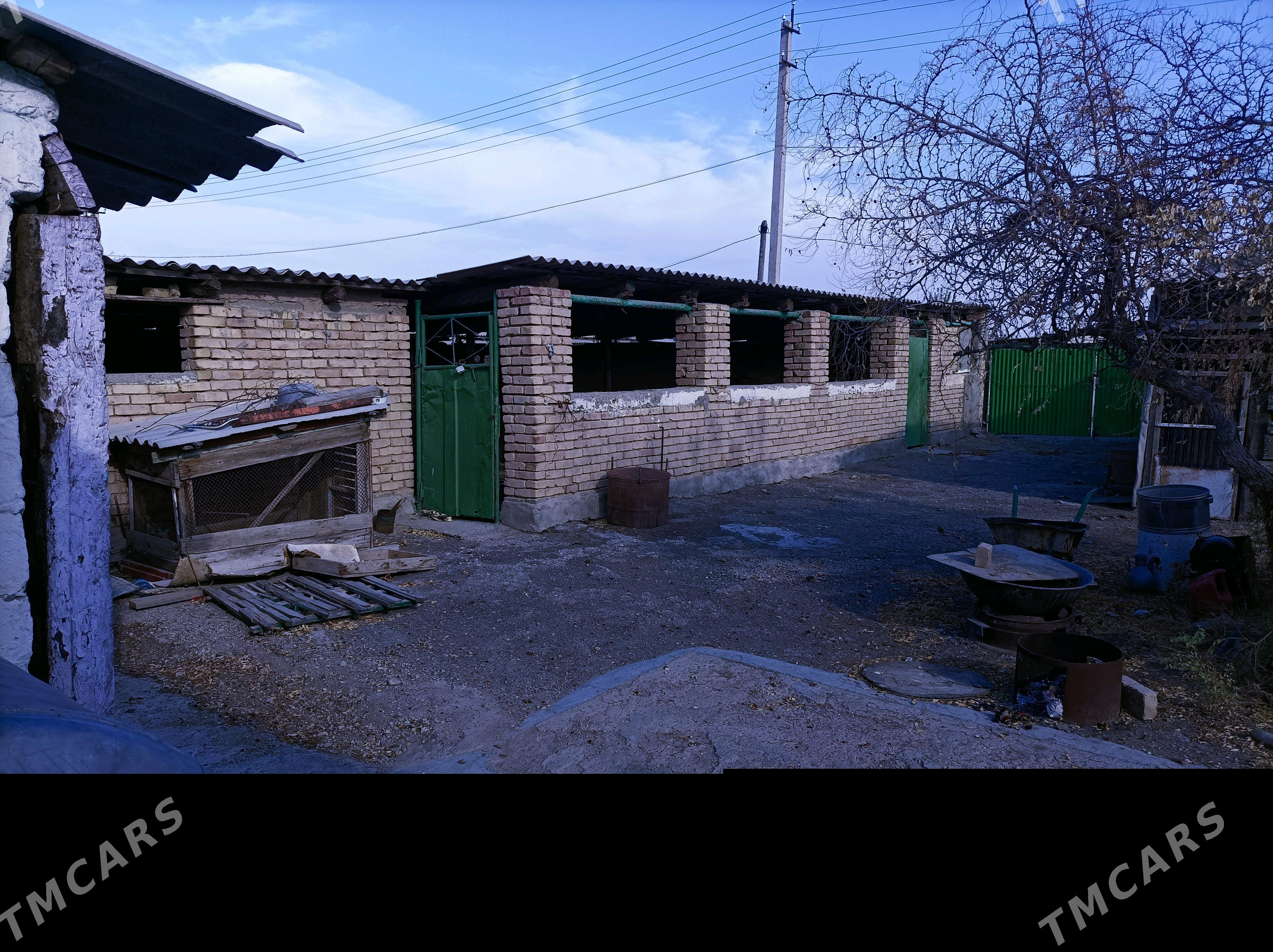 Satlyk jay - Gyzylarbat - img 9