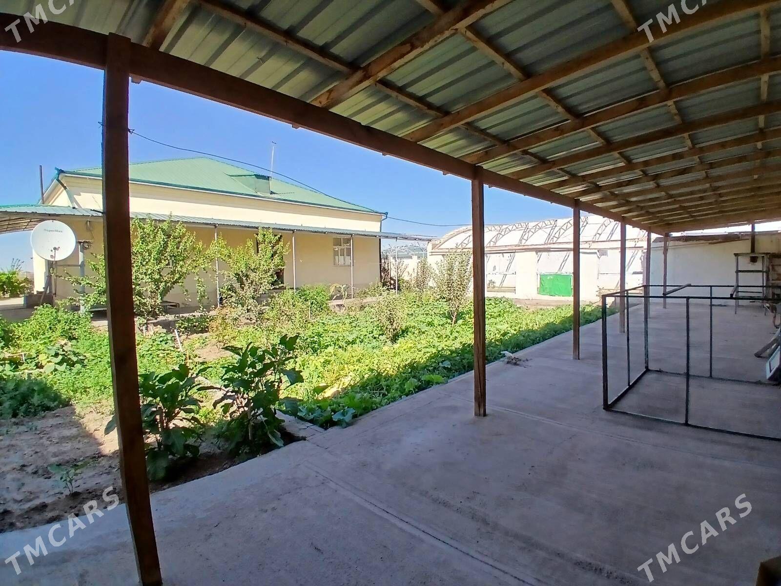 jay, жай - Дашогуз - img 10