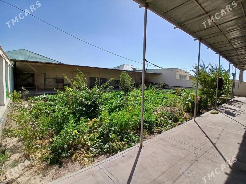 jay, жай - Дашогуз - img 5