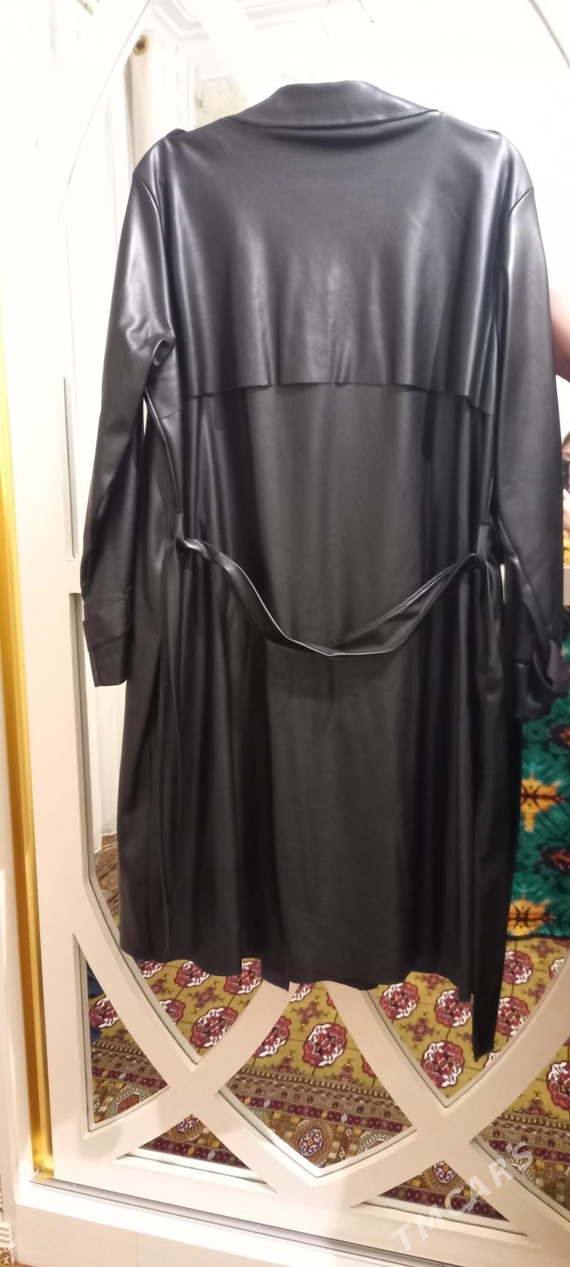 koza frenc - Balkanabat - img 3