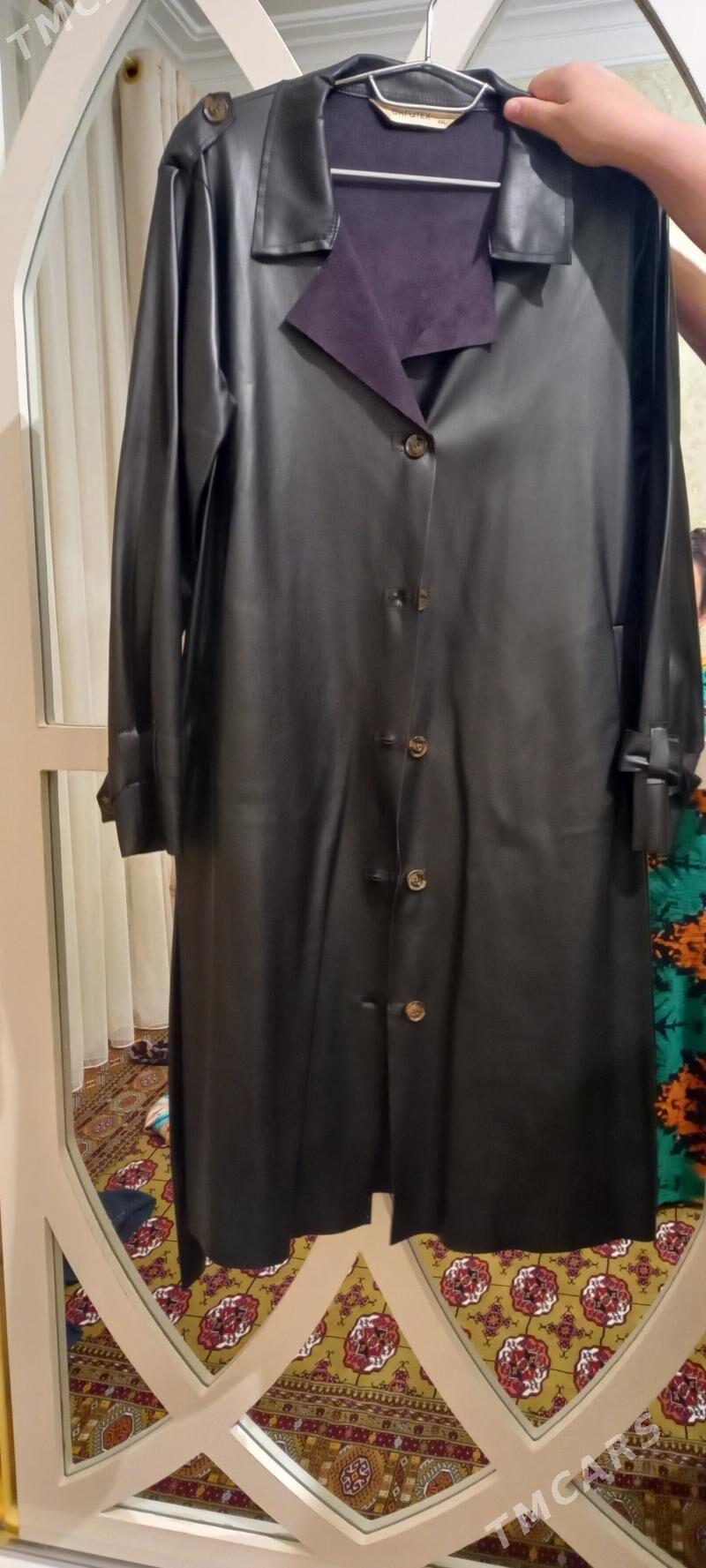 koza frenc - Balkanabat - img 2