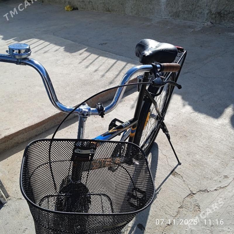 taze tigir - Ak bugdaý etraby - img 3