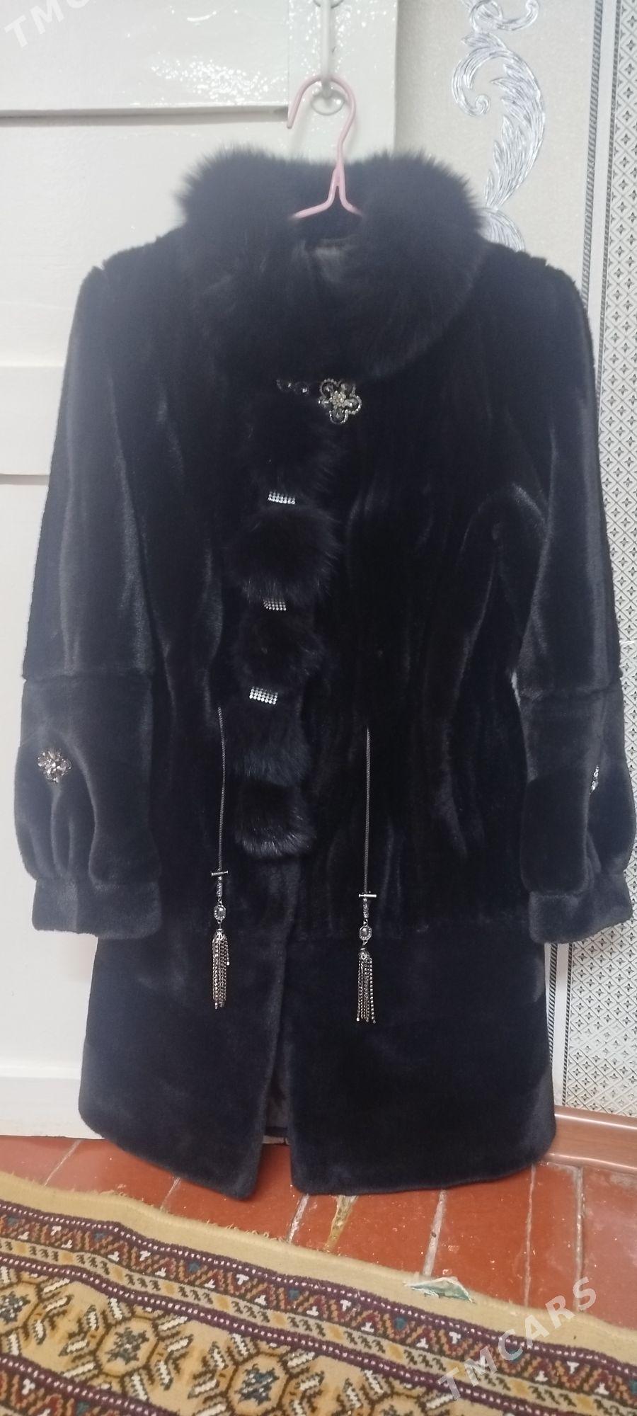 Suba - Daşoguz - img 2