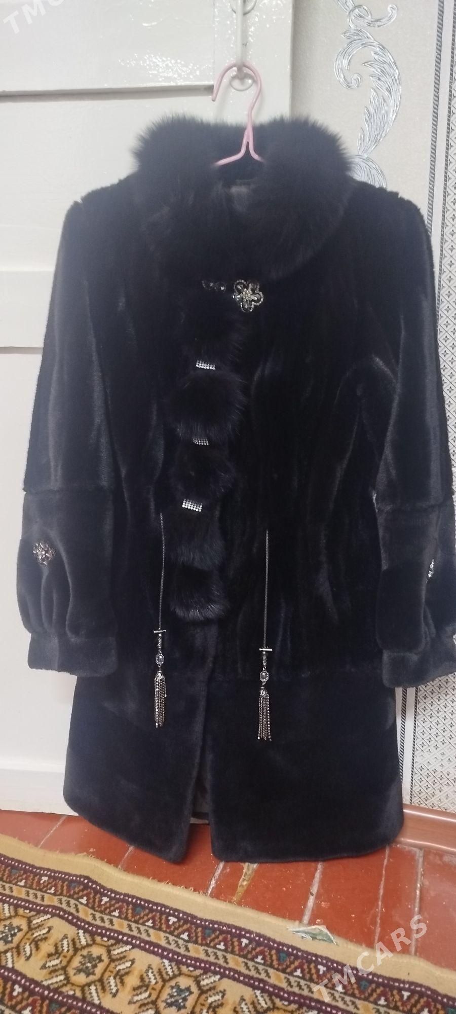 Suba - Daşoguz - img 5