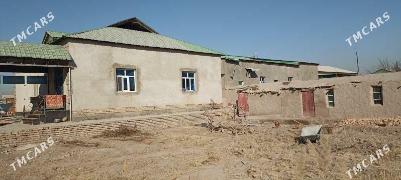 Учаска жай - Шабатский этрап - img 2