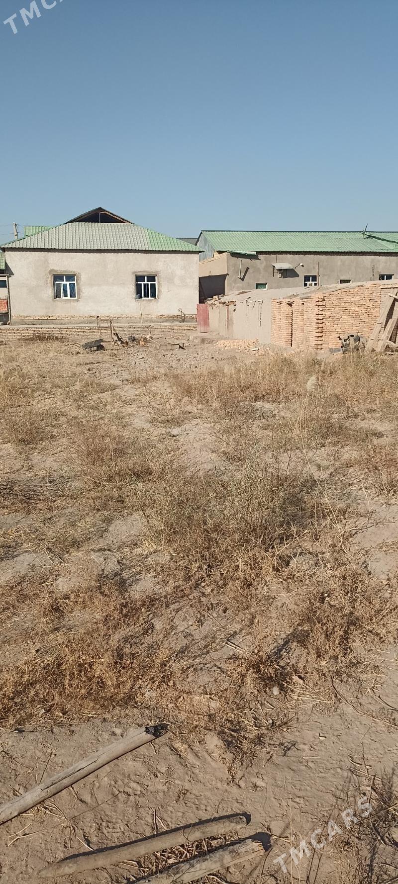 Учаска жай - Шабатский этрап - img 3