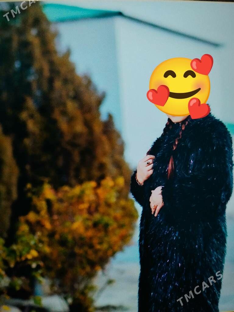 Shuba - Гёкдепе - img 1