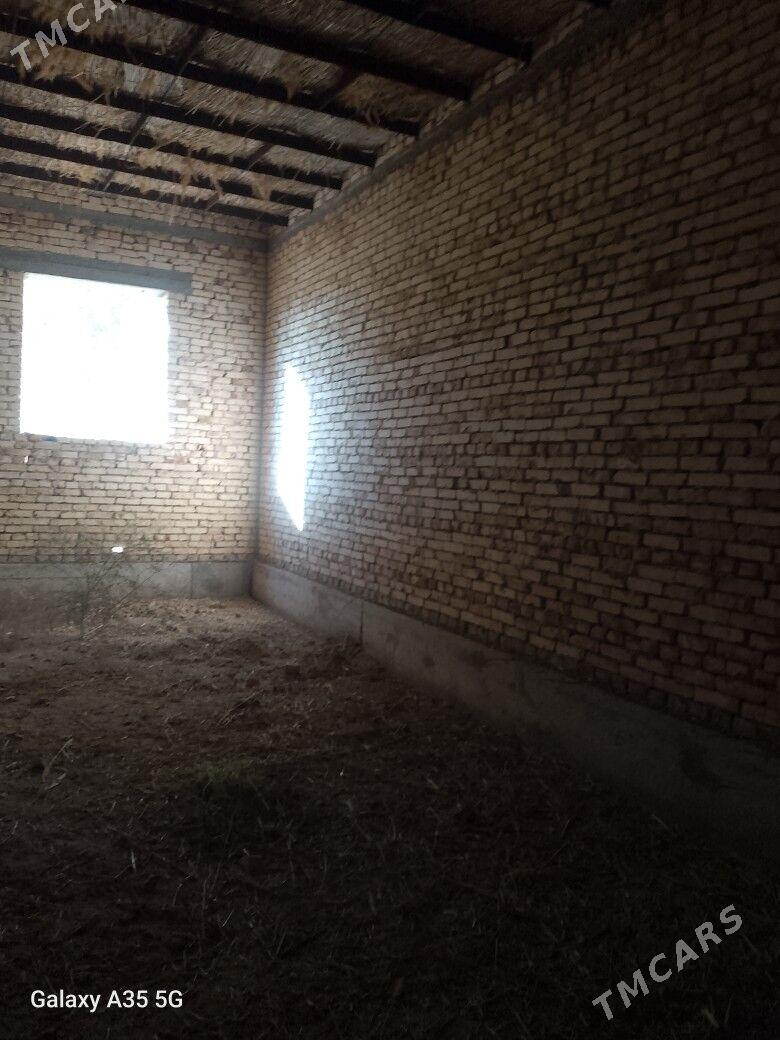 Satlyk jaý - Кёнеургенч - img 8