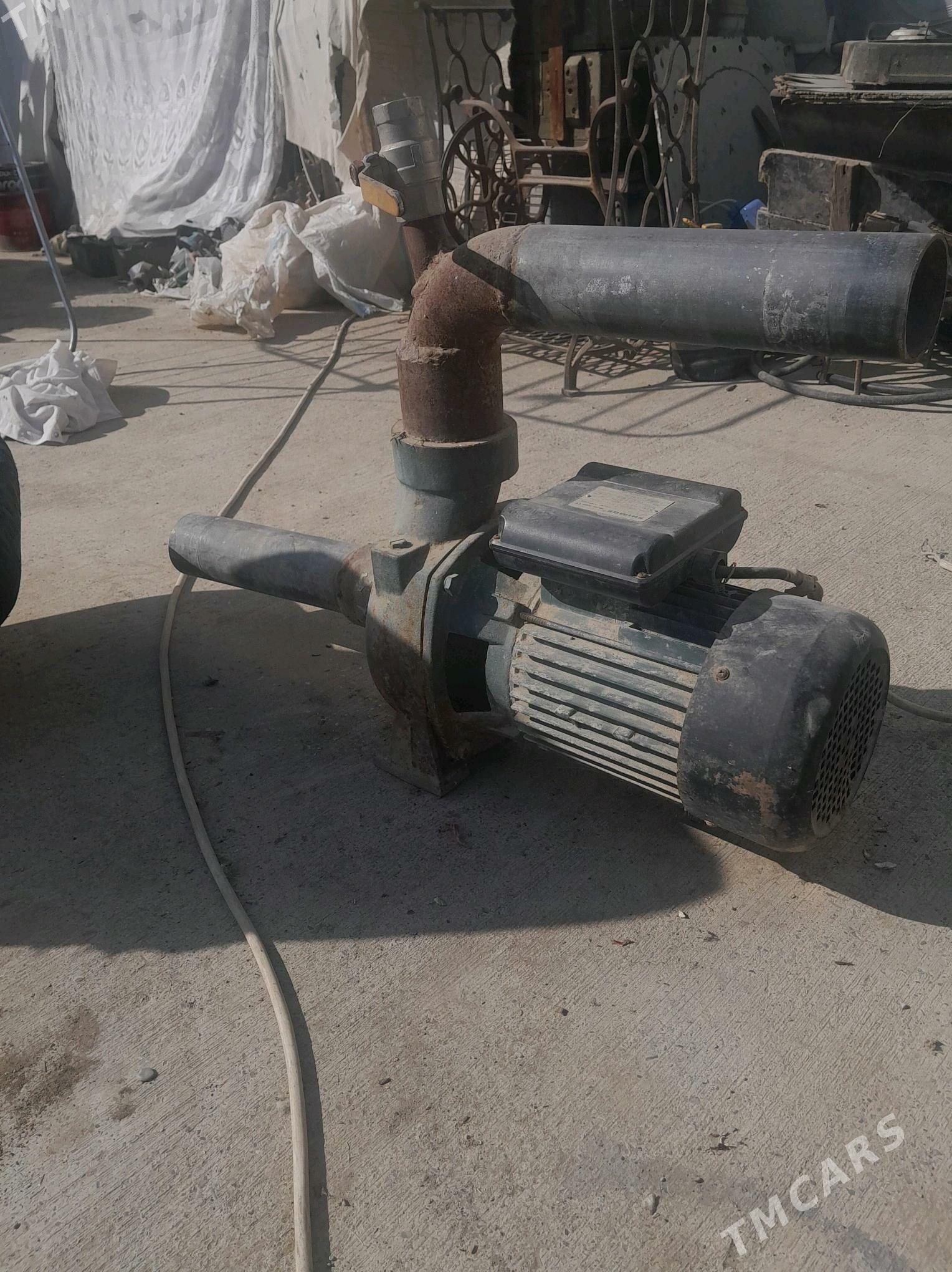 Shimge - Gökdepe - img 2