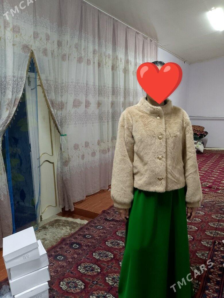 şuba - Daşoguz - img 3