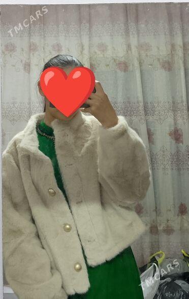 şuba - Daşoguz - img 1