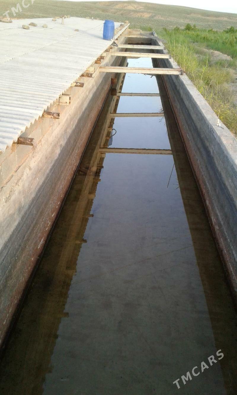 Bennesen çukur aralyk yol ugry - Gyzylarbat - img 6