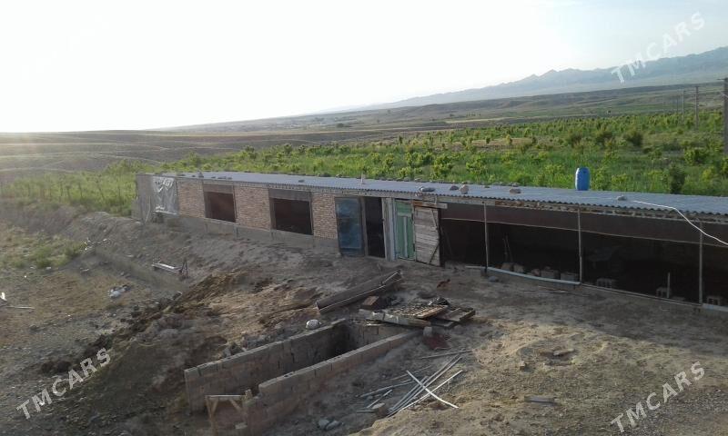 Bennesen çukur aralyk yol ugry - Gyzylarbat - img 9